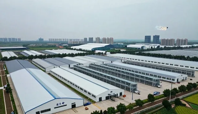 传播方案性能优化与适用条件分析
